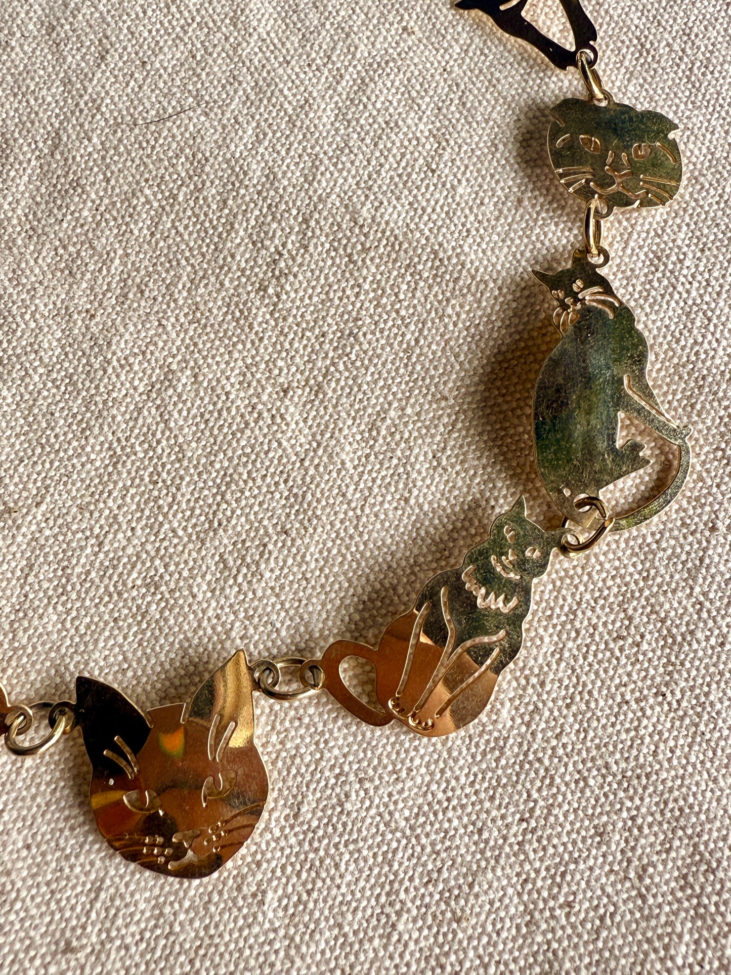 Collar Gatitos- Wild Byrde