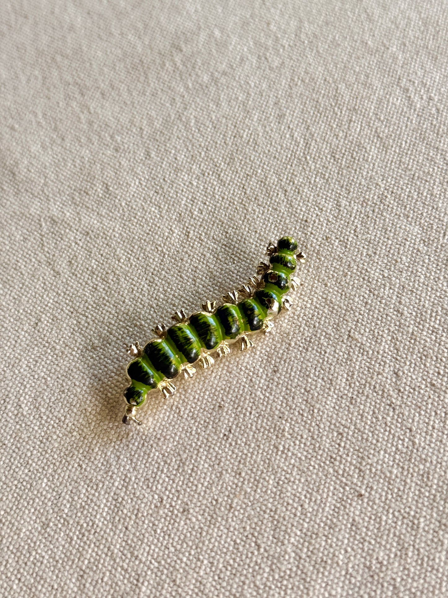 Broche de Oruga