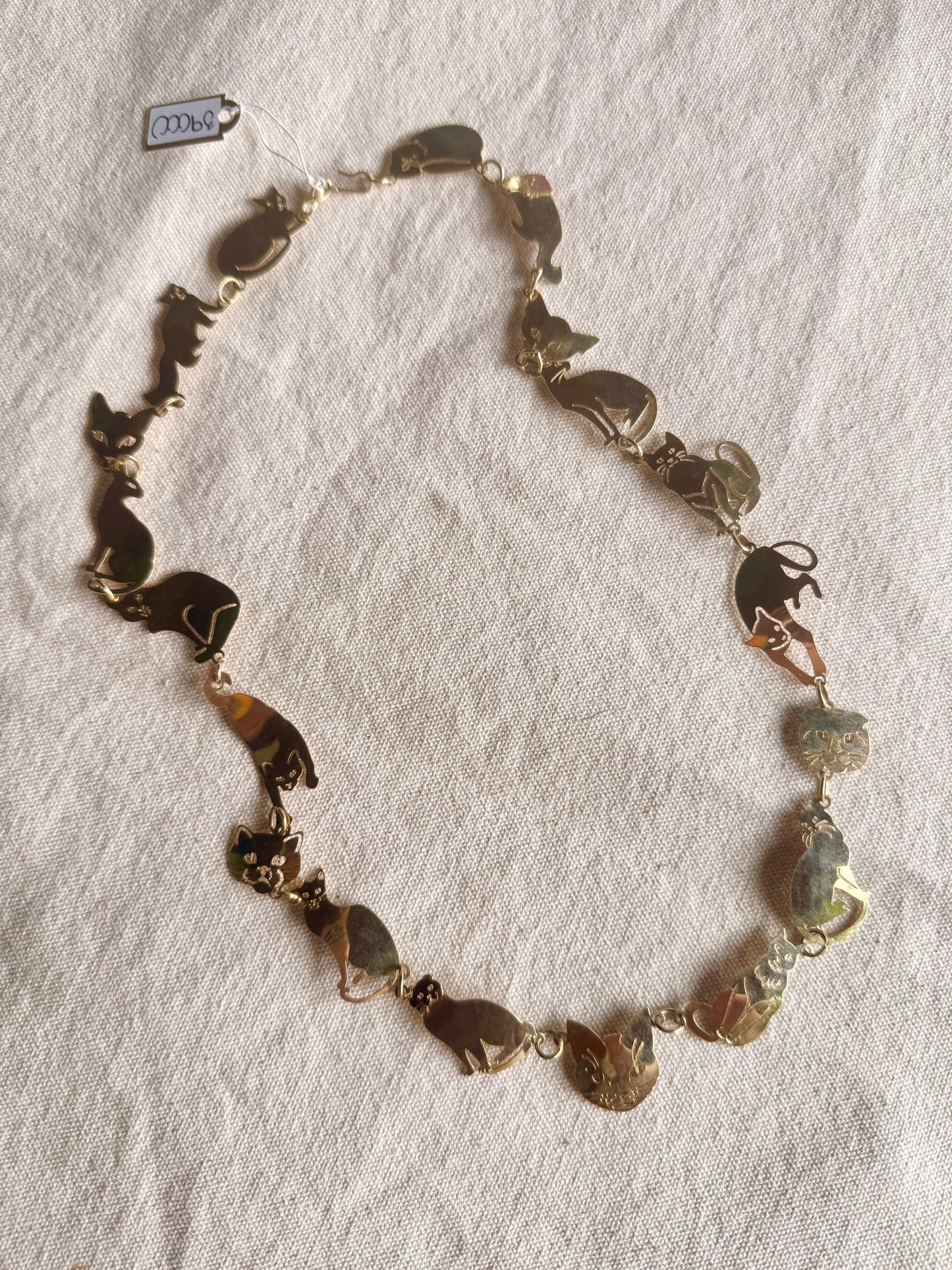 Collar  Gatitos- Wild Byrde