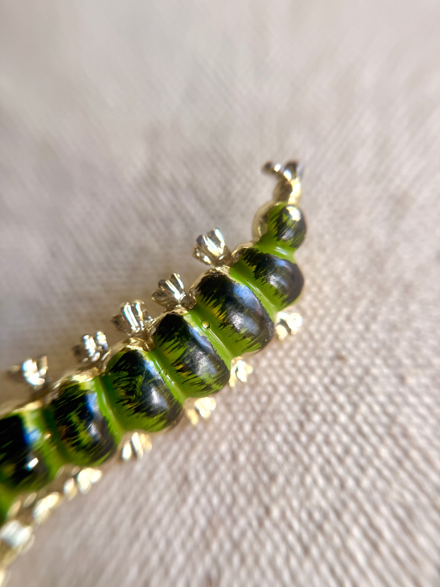 Broche de Oruga