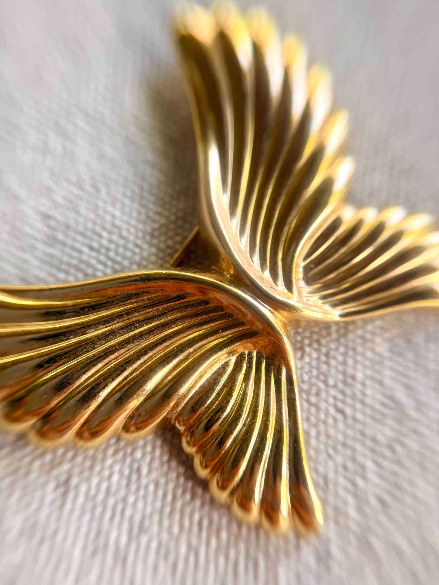 Broche Mariposa Angelical