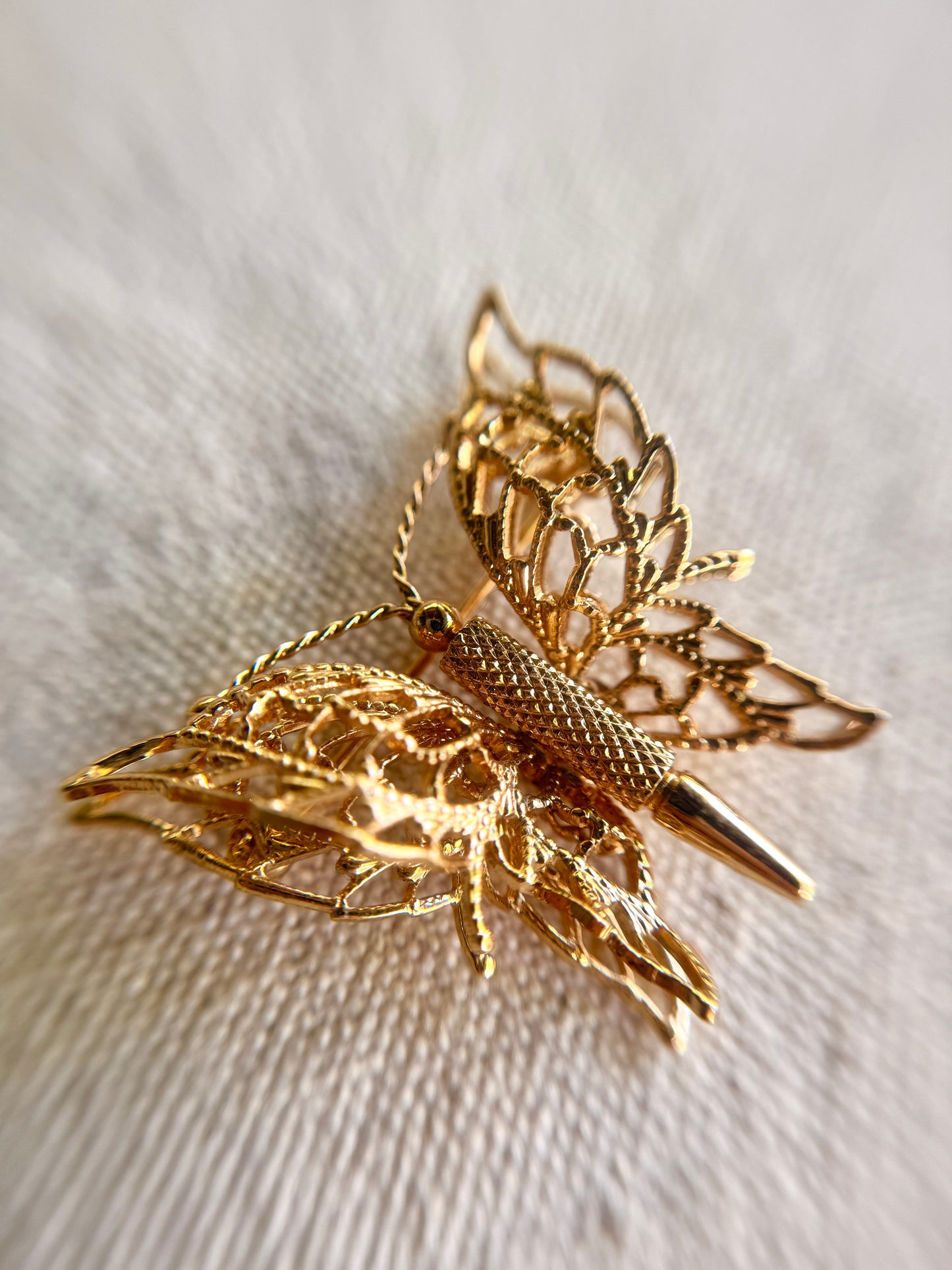 Broche de Mariposa Aguecada