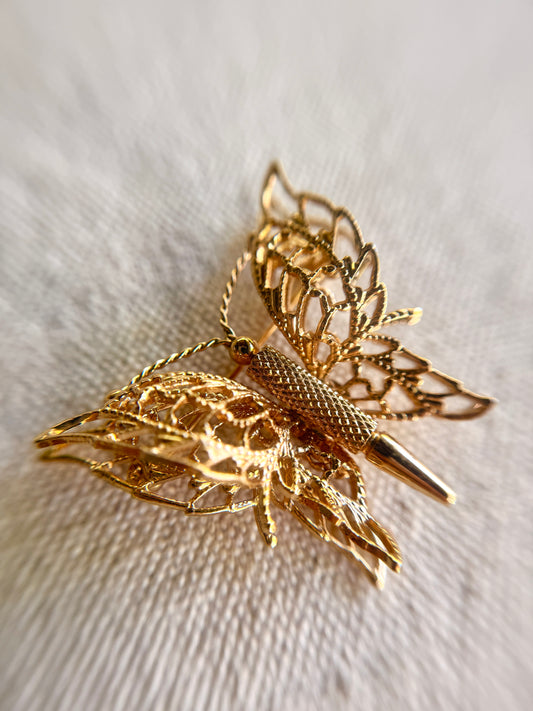 Broche de Mariposa Aguecada